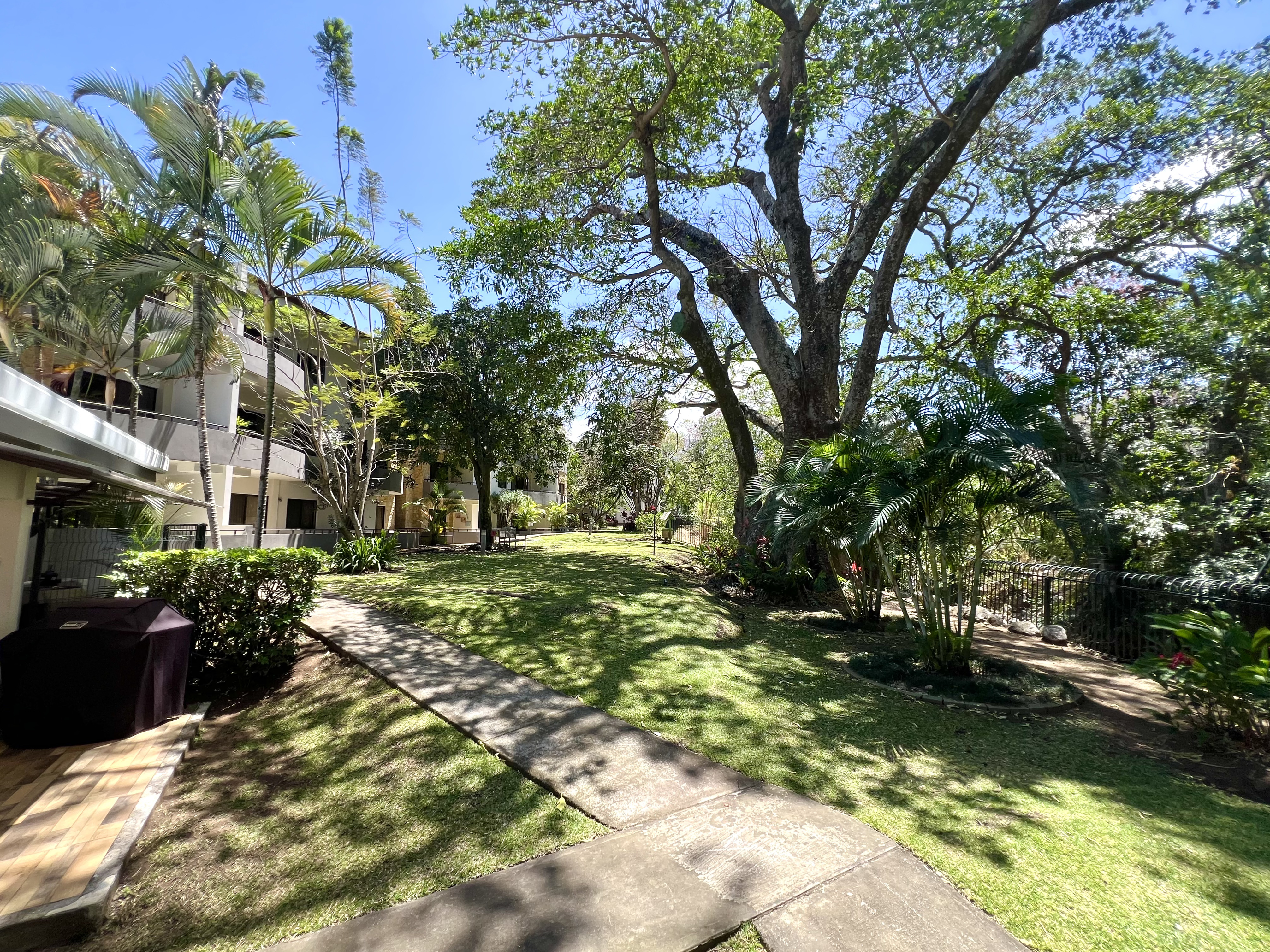Green gardens surrounding G-House in Avalon, Santa Ana